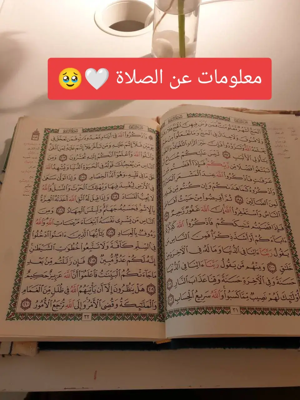 #القران_الكريم #راحة_نفسية #راحه_وطمأنينه_للقلب 
