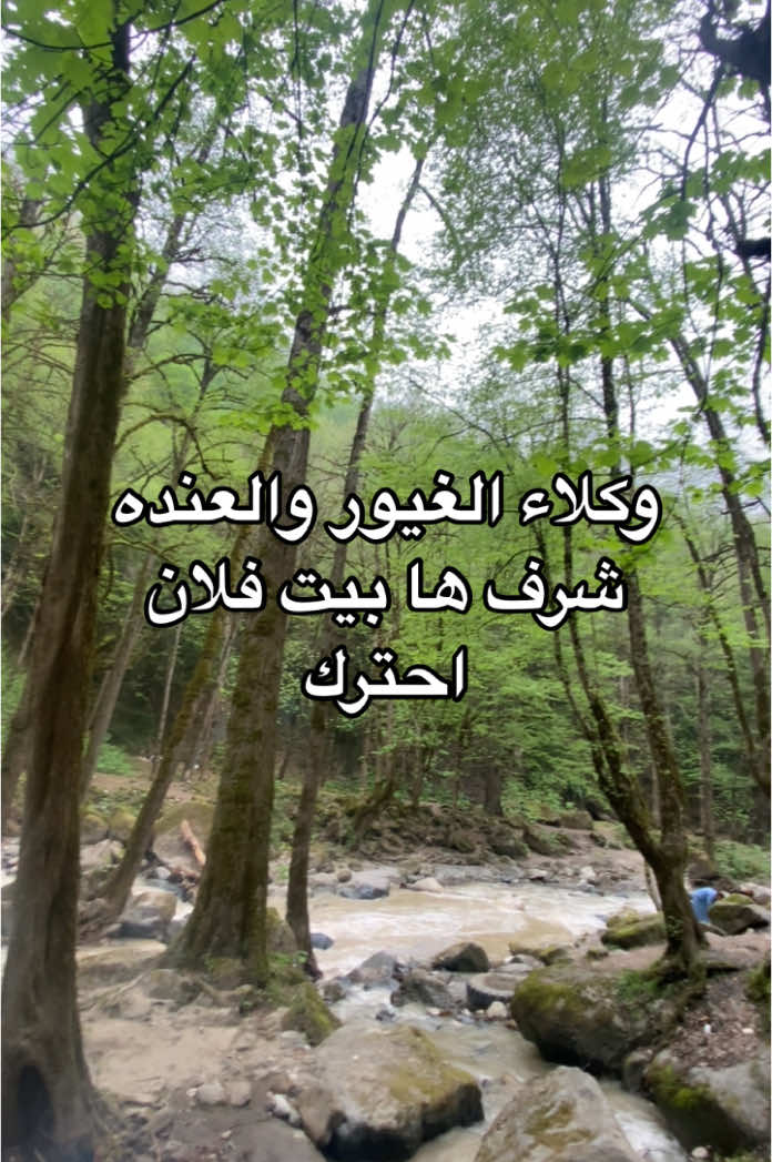 حكمة اليوم #شعب_الصيني_ماله_حل😂😂 #2025 #اكسبلورexplore #fyppppppppppppppppppppppp #ابولخير😁💸 #fyp #😂😂😂 