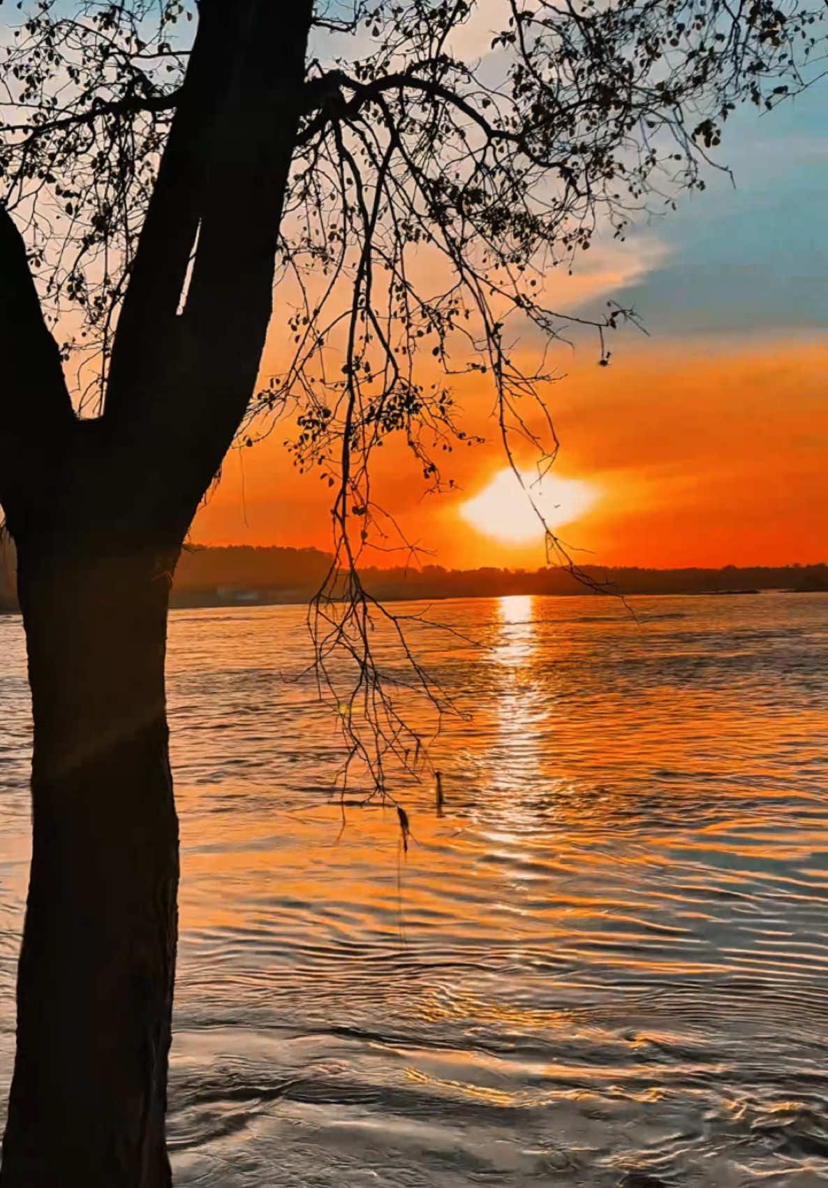 مخلص شخص میسر ہو تو دنیا ٹھکرانے میں کیا حرج ہے🧡#foryou #foryoupage #capcut #fyp #fypシ #clearcache #village #charsadda #river #paktiktokofficial #content #naturalvideo #iphonevideos #iphonevideo #watchtillend #sunset #videography #iphone14promax #itz__umair_4 #video #viralvideo #viral #view #caption #2025 #summervibe #Summer #evening #village #december #khyale #کلے #sagarjan #pashto #pushto #karankhan #may  #karankhan 