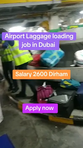 Airport Laggage loading job in Dubai #dubai dubai ##dubai##dubai🇦🇪 #dubai_dxb_uae #dxb #dubaijob #jobindubai #uaejobs #dubaivisa #jobtips #jobsearch #uaejobseekers #freevisafreeticket✈️✈️