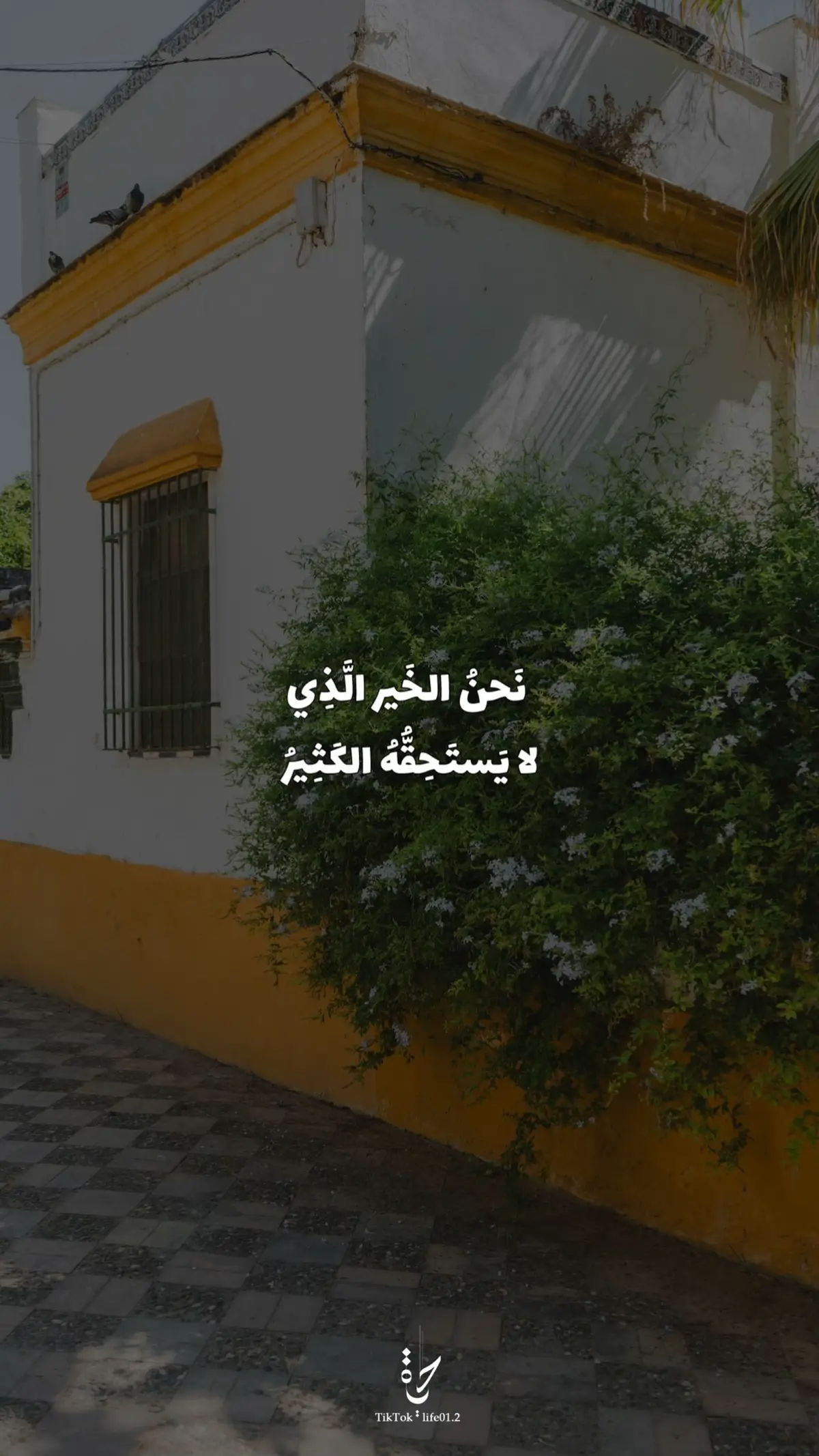 #اقتباسات #اقتباسات📝 #اقتباساتي 