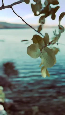 𝐊𝐮̈𝐫𝐭𝐜̧𝐞 𝐬𝐨̈𝐳 𝐛ı𝐫𝐚𝐤..#grupseyran #verevere #storylikvideolar📌 #__siyah__1 #duygusalvideolar #kürtçeşarkılar #4k #fırat #story #iphone13 #sözbırak #keşfet 