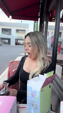 LaBUBU Colecionável - ÚLTIMA CHANCE PARA COMPRAR #influencer #labubu 