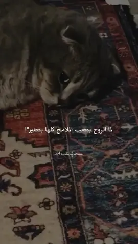 لما الروح بتتعب الملامح كلها بتتغير