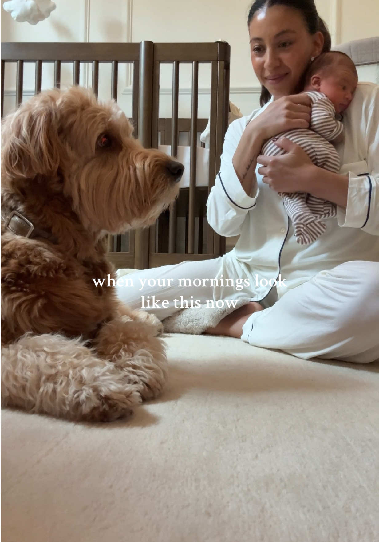 in our newborn bubble #newborn #motherhood #pregnanttiktok #babytiktok #familytime 