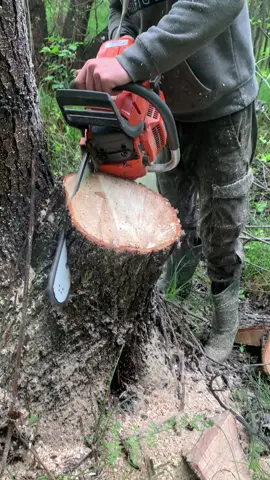 ☎️ 0️⃣9️⃣6️⃣ 1️⃣8️⃣6️⃣ 3️⃣0️⃣ 8️⃣8️⃣ Бензопили, мотокоси, запчастини і аксесуари 🔥ціна🔥 за промокодом LisTV знижка -5% на весь асортимент pila.prom.ua