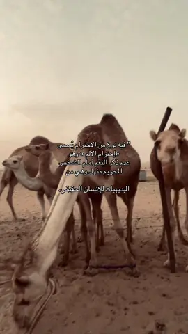 🤎#fyp #foryou #اكسبلور #ماشاءالله 