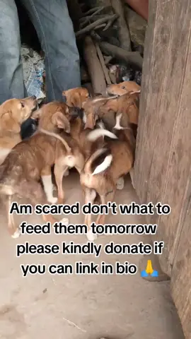 please donate ##expand