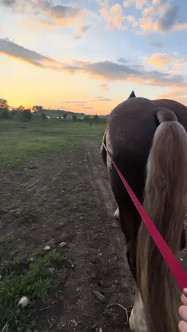 #fyp #foryou #бизнес #хари 