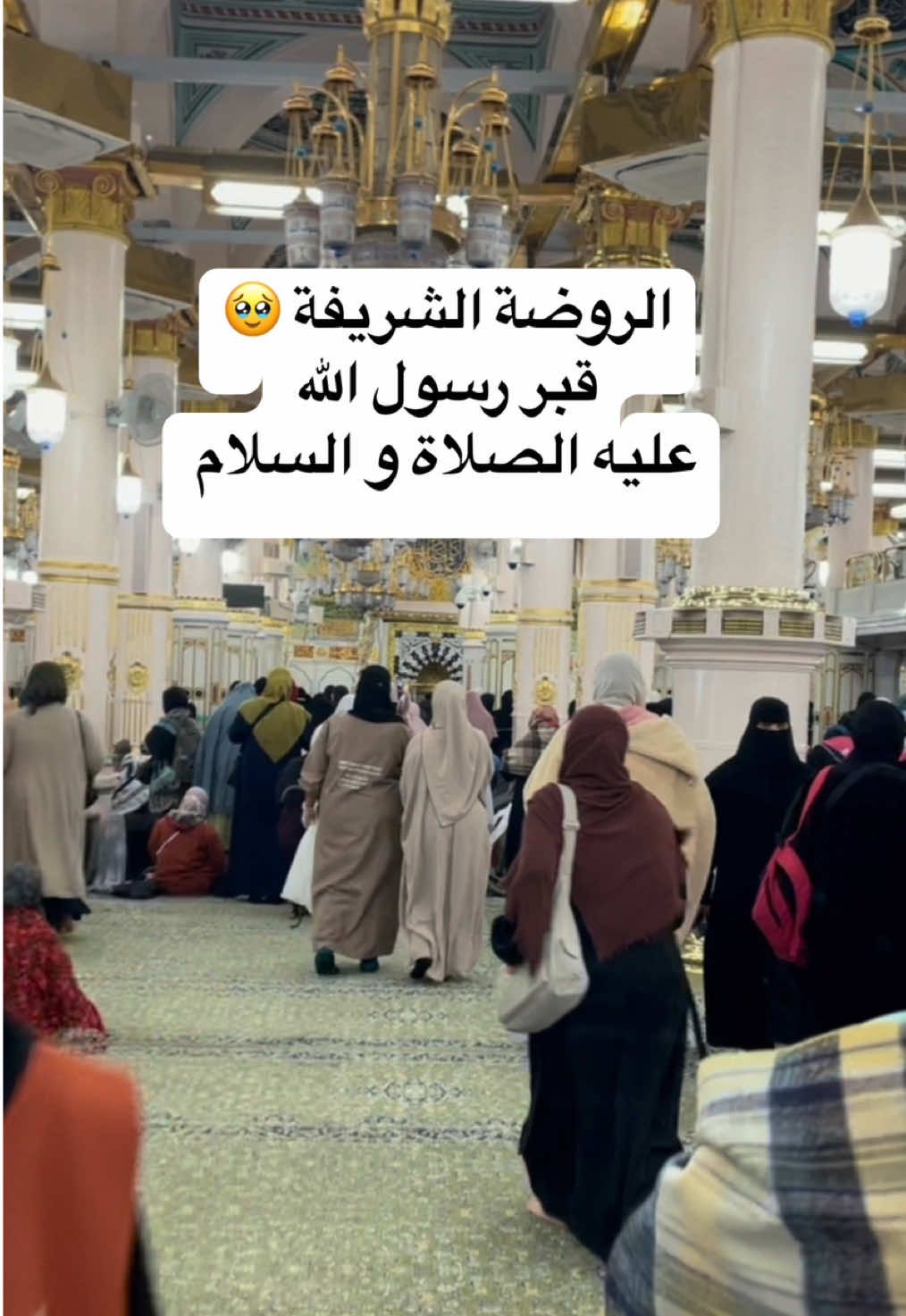 #الروضة_الشريفة #قبر_الرسول #المدينه_المنوره #طيبة #عليه_افضل_الصلاه_والسلام #السعودية  #الحج 