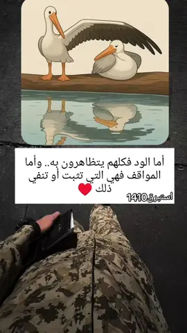 #مجرد________ذووووووق🎶🎵💞 #مالي_خلق_احط_هاشتاقات 