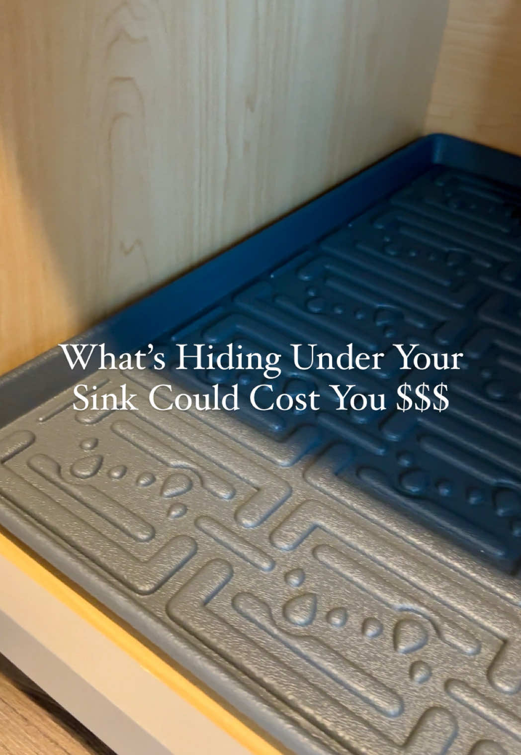 Say goodbye to cabinet damage and hello to a cleaner, smarter space with this waterproof, under-sink mat that actually catches leaks🚰 before they become $$$ problems! 💧 ⁣ No more warped wood, water stains, or messy spills — this customizable under-sink protector fits perfectly in your cabinet and saves your sanity (and your home)! 💦 #clean #cleaning #musthave | #Amazon #Home | #UnderSinkMat | #HomeHacks | #CleaningMotivation | #WaterproofMat | #OrganizedHome | #HomeEssentials | #AmazonFinds | #CleaningTips | #HomeCareMadeEasy | #DIY