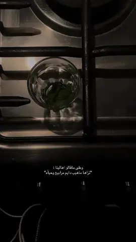 #اكسبلور 