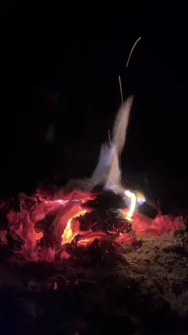 #الصدر_ضايق_واقبل_الليل_بدماس #لشاعرها #اكسبلور #شعر #قصد 