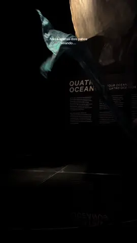 eu passaria horas admirando 🥹 #museudoamanhã #quatrooceanos #riodejaneiro #museu 