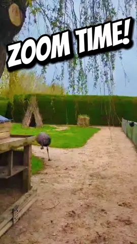 Exclusively for adults, come and spend the night in one of our very special accommodation options. Surrounded by nature, soak your stresses away in the hot tub whilst we prepare and deliver the most delicious handstretched wood fired pizza from our onsite kitchen 