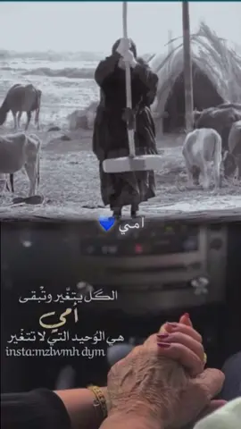 جزء75 | #قصايد_شعر_خواطر #ايهم 