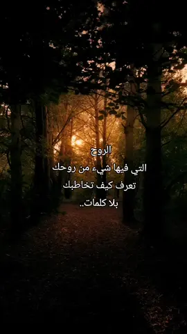 #خواطر_للعقول_الراقية #خواطر_للعقول_الراقية 