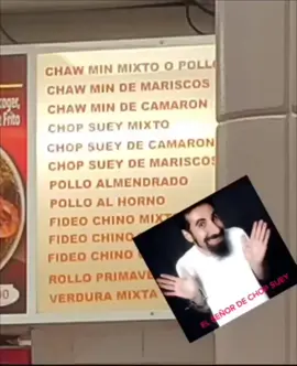 #ElSeñorDeChopSuey #SOAD #serjtankian 