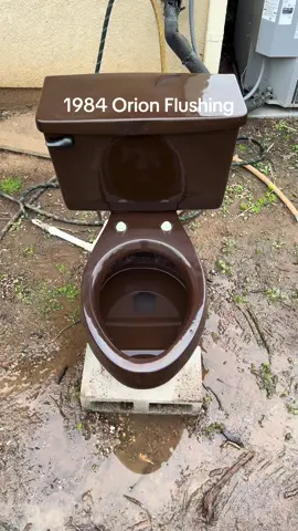 1984 Brown Orion Toilet Flushing Don’t know the model of this, but it’s rare. Date Of Manufacture: June 24, 1984. #toilet #toilets #toiletsflushing #1980s #1970s #brown #fyp #plumbing #aftplumbing