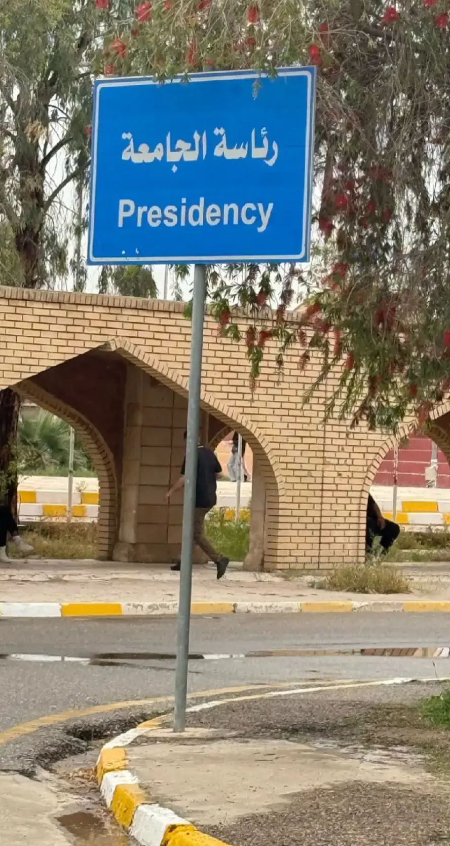 #جامعة_تكريت 