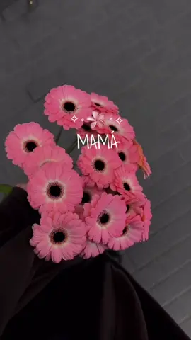 Plantilla para Mamá 🌸✨ úsala con tus fotos y envíale este video a tu mamá 😍💫 #CapCut #diadelasmadres #mama #mom #momsday #madres #amormama #loveyou #familia 