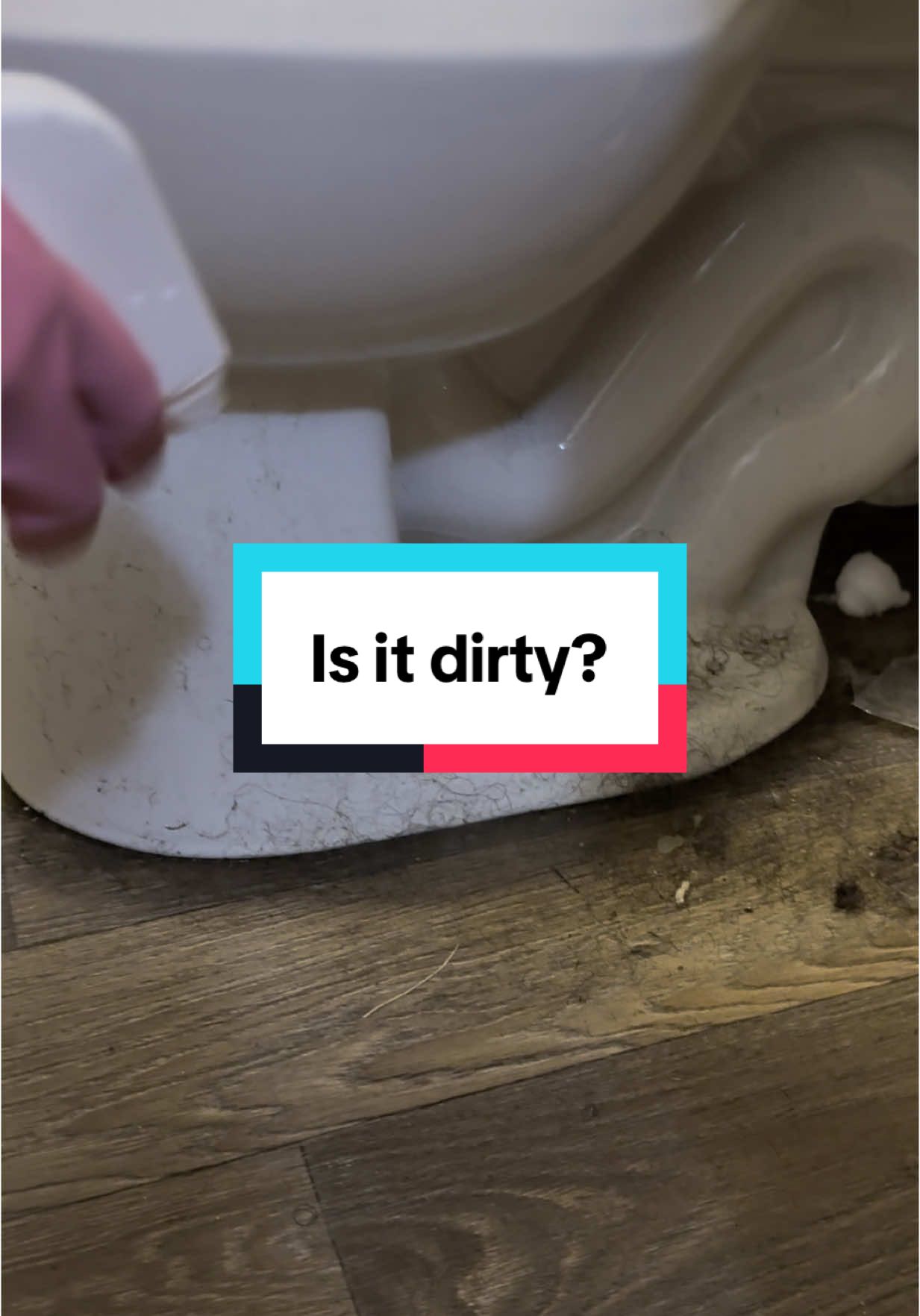 Friendly reminder if the houses weren’t dirty I wouldn’t be there to clean them. Yes a lot of the houses I clean need help with decluttering and organizing however you cannot have a clean house and a cluttered house at the same time. A cluttered house is dirty because underneath all the clutter is dirt and dust.  • #clean #howto #trending #toilet #bathroom #tips #dirty #freecleaning 