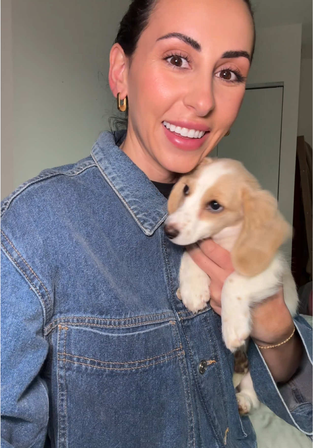 #stitch with @ashley | all the inspo my babyyyy #dachshundpuppy 