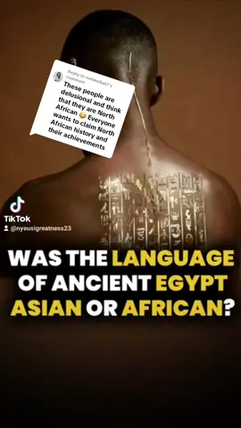 Replying to @melmella67 #fypシ゚viral🖤tiktok #BlackTikTok #fyppppppppppppppppppppppppppppppppppp #fypシ 