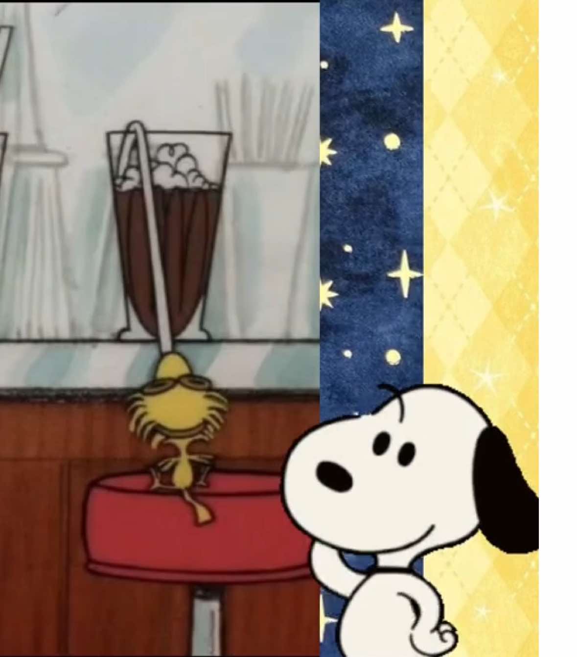 snoopy #snoopy #snoopydog #peanuts #thepeanutsmovie #Fyp #foryourpage #foryourepage 