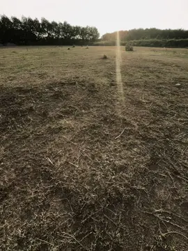 青春是一首歌，可以快乐，可以悲伤，但每一个音符都值得珍惜。