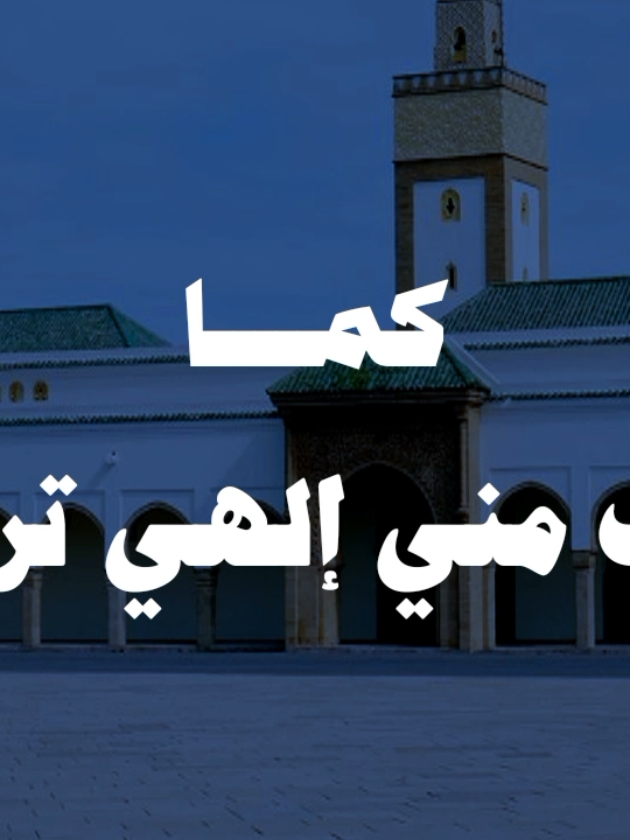سأقبل ياخالقي من جديد 🤍 #اناشيد #بدون_موسيقى #fypシ゚ 