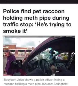 She’s even got a raccoon smoking meth🤣🤣🤣🤣