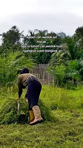 menyala wii 🔥 #fypシ゚ #ngarit #wanitakuat #wanitahebat #tukangngarit #quotestory #peternakmuda 