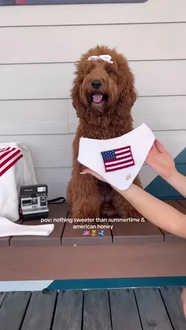 🥹🧸🇺🇸🫐