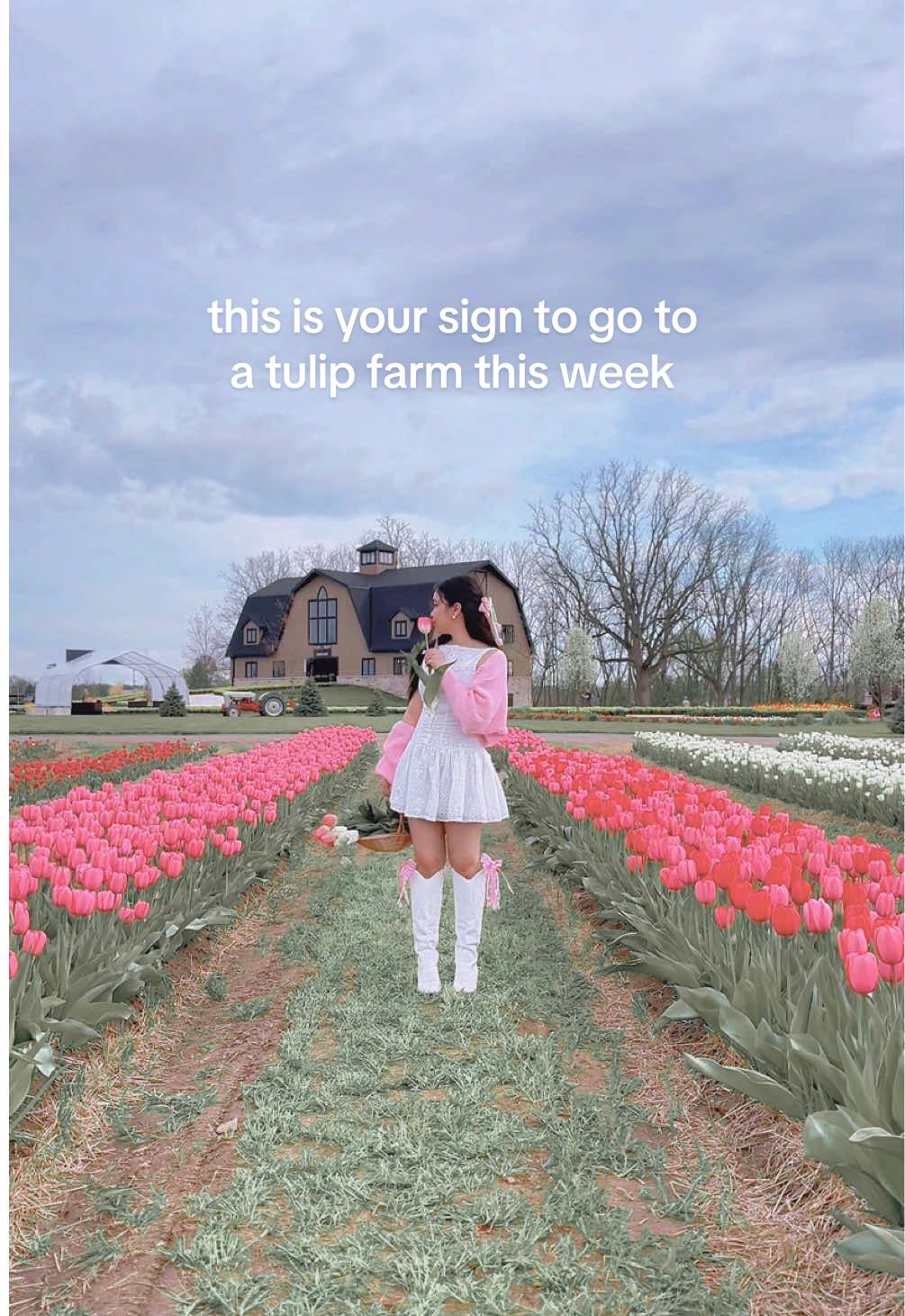 the bird was a paid actor lol #tulipfarm #ontario #tulippicking #tulips #stcatharines #roadsideflowermarket  