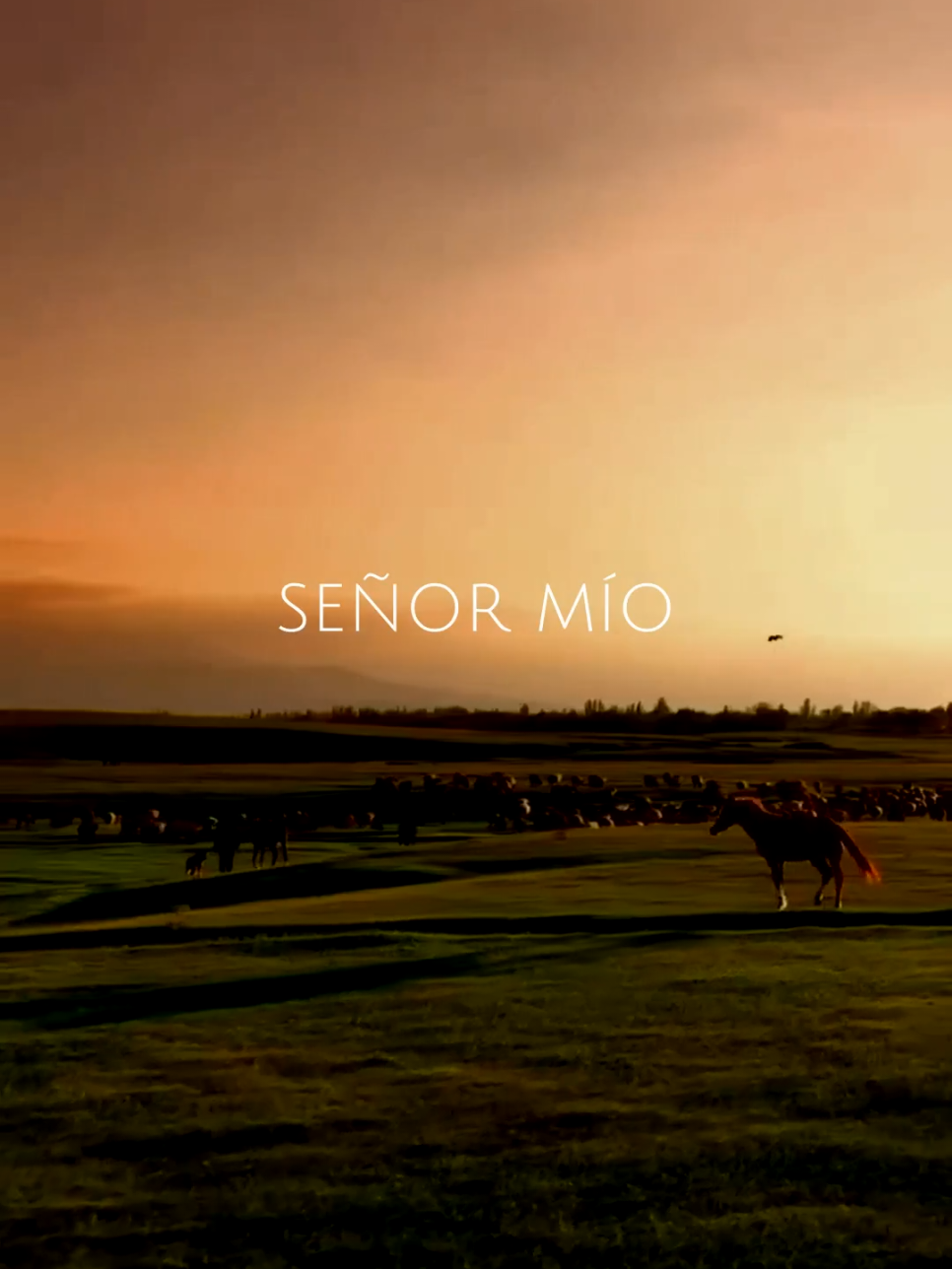 🙏✨ Dando gracias a Dios por todas las bendiciones en mi vida. Este vídeo está lleno de gratitud y amor. ¡Únete a mí en esta oración de acción de gracias! 🕊️💖 #Oración #AcciónDeGracias #Gratitud #Fe #Dios #reflexion #reflexiones 