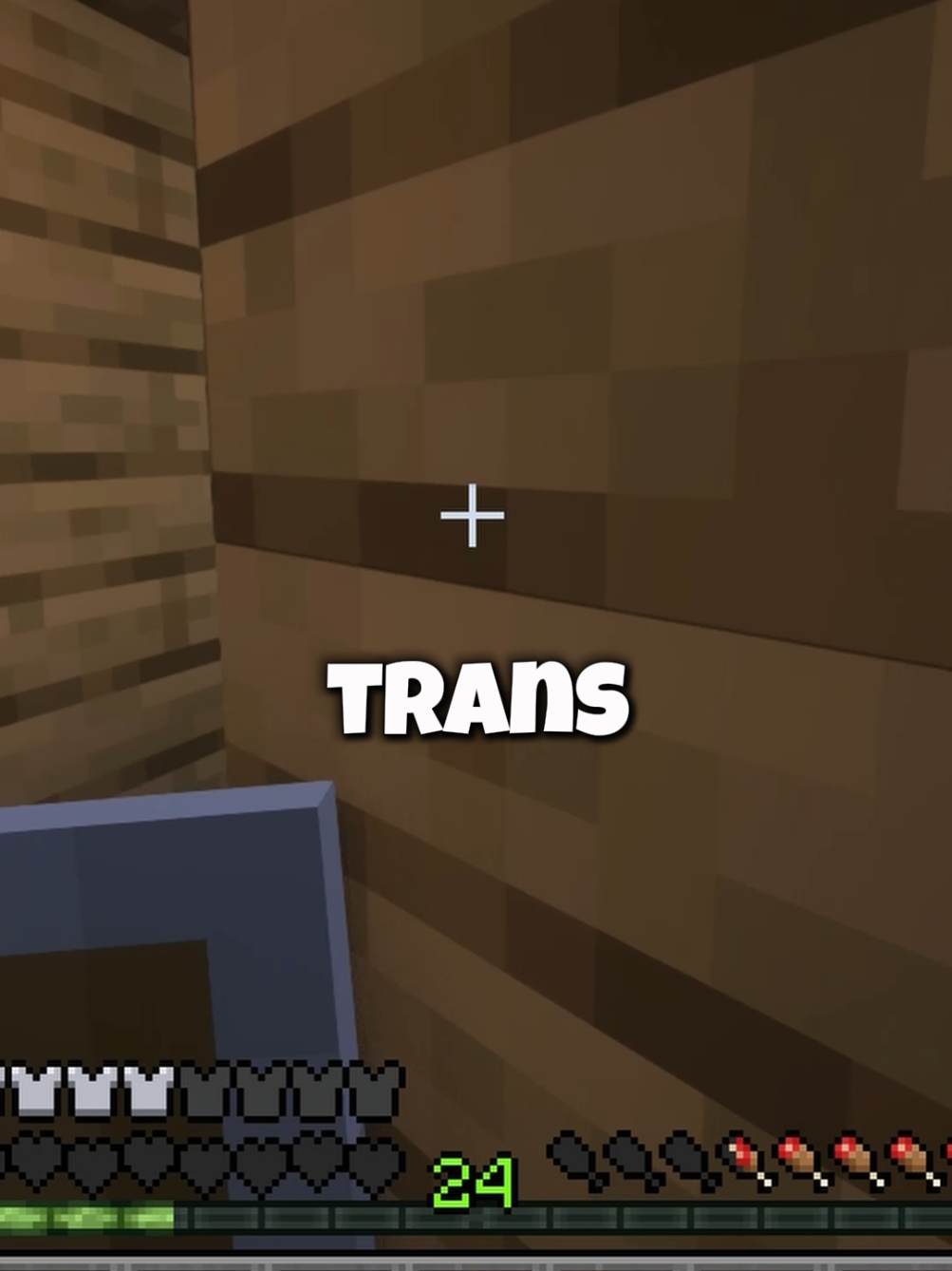 #transgender #femboy #lgbt #transfem #Minecraft 
