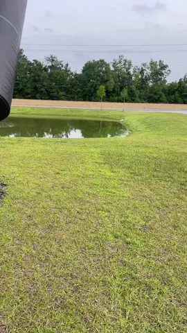 Keep the weeds away this Spring with the fabric liner by Vevor!  #gardenfabric #vevor #landscape #landscaping #landscapingfabric 