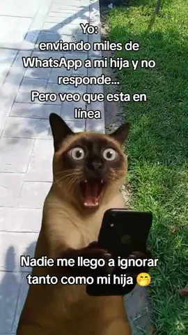 Mi día a día con mi hija💜#adolescencia #humortiktok #mamaehijas #fypシ゚ #viralditiktok  #Meme #MemeCut #CapCut 