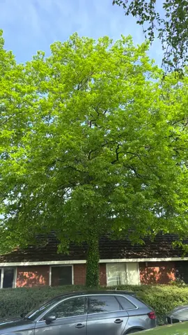এক পয়সাও গুরুত্ব দিব না আর