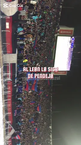 VUELVO, bulla vuelvo… #vamosbulla #udechile #bullangueros #fyp #futbol⚽️ #canticos 