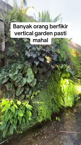 Dulu aku kira bikin vertikal garden itu harus mahal. harus beli tanaman yg bagus.            Ternyata, cukup mulai.            Tanaman liar pun bisa,dan tangan yg mau belajar,akan menemukan jalannya sendiri. Kadang yg kita butuhkan bukan uang yg banyak… tapi hati yg mau berproses.        #plantmakespeoplehappy #indoorplant #tanamanhias #verticalgarden #Livingwall