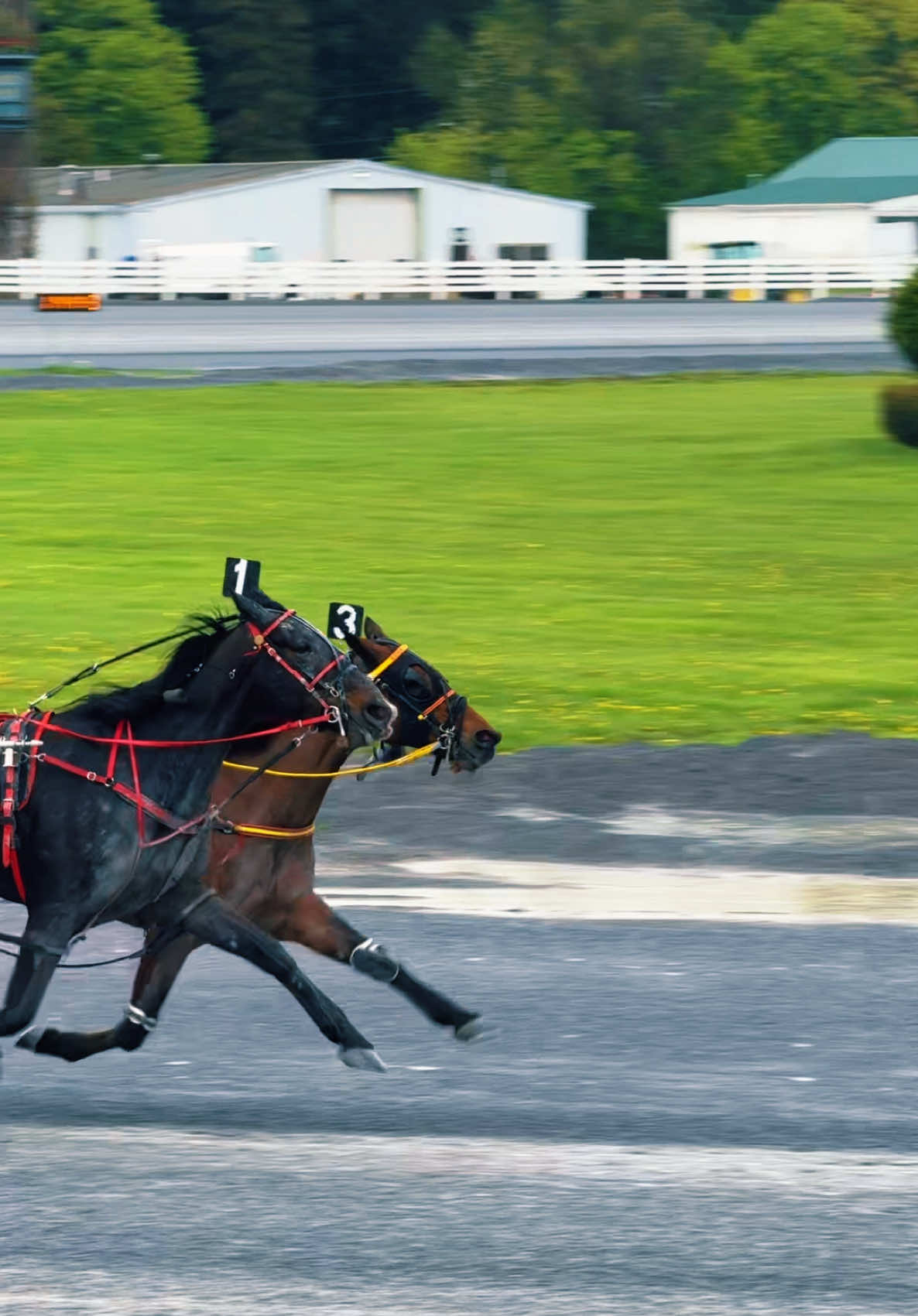 First to the finish 🥈💪🏼 #McDermottstable #horsesoftiktok #standardbredsoftiktok #equine #harnessracing #saratogasprings #trotter #rainday #muddy #gameon 