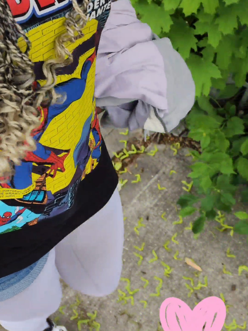 Prepping to take my first ap of the season #apseason #apliterature #fyp #viral #viralviralviralvuralviral #relatable #studentcore 