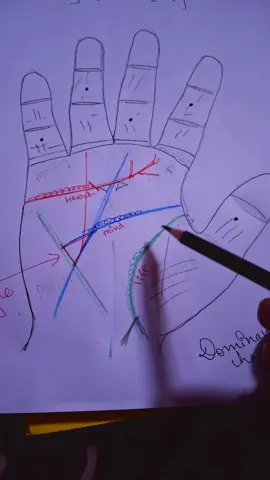 #sahanshil #palmistry #foryou 