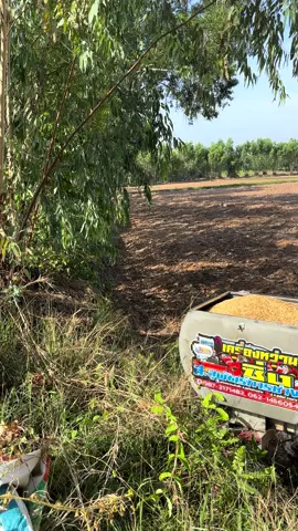 หว่านข้าวคือเก่าครับ🌾🌾#ทีเด๊ดเสี่ยหรั่ง🚜 #อ้ายเสี่ยหรั่ง❤️ #ขุนดันเมือง101🚜 