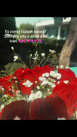 Siempre 🤍. #ivan #ivanteamo #novios #teextraño 