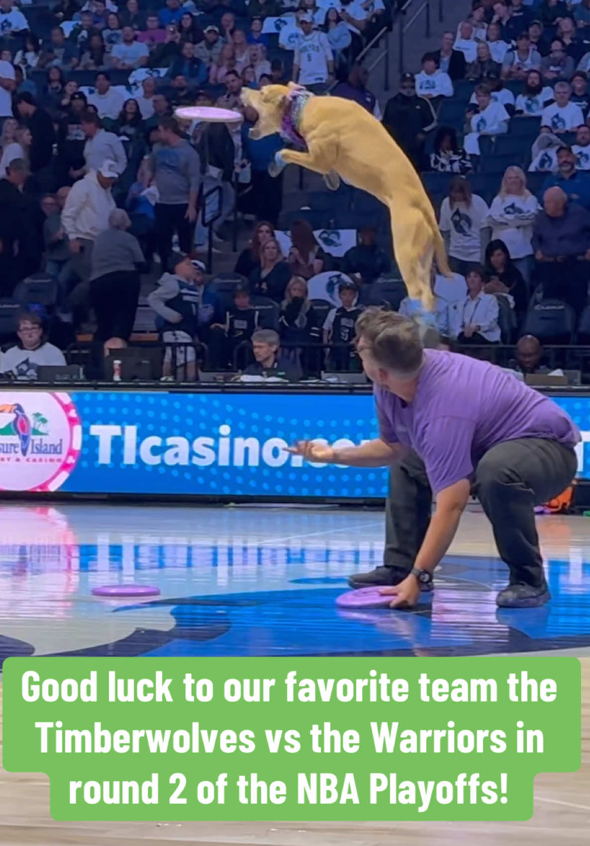 Let’s go @Timberwolves! Here’s footage from our halftime show from the 2024/2025 home opener. 🐺🌲 
