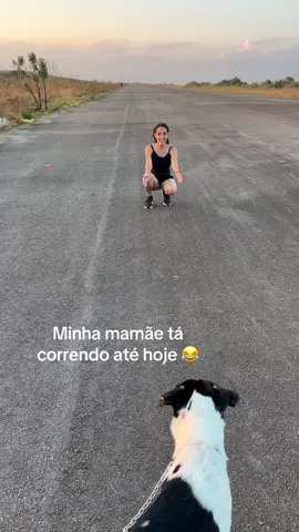 Lili cantou 😆 #lilicantou #dogsoftiktok #cachorrosengraçados #ladygaga #saidafrente #cachorro #adote #liberdade #vira #monetizartiktok #cachorrosengraçados #adoteumamigo 